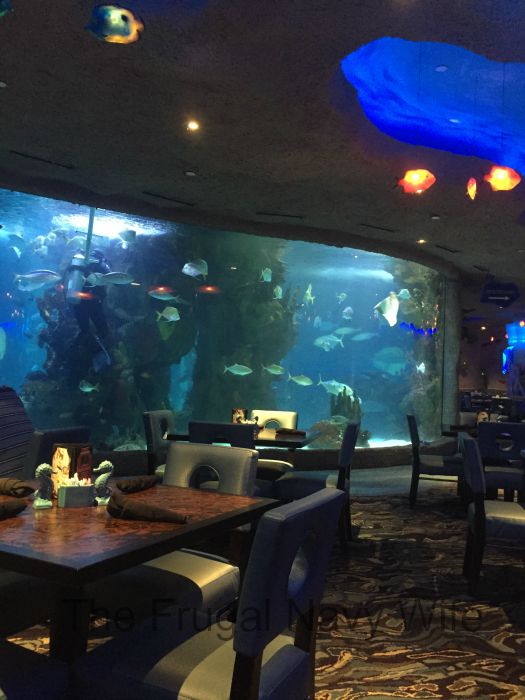 Aquarium Restaurant Big Tank