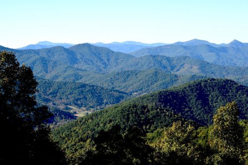 Mount Pisgah National Forest