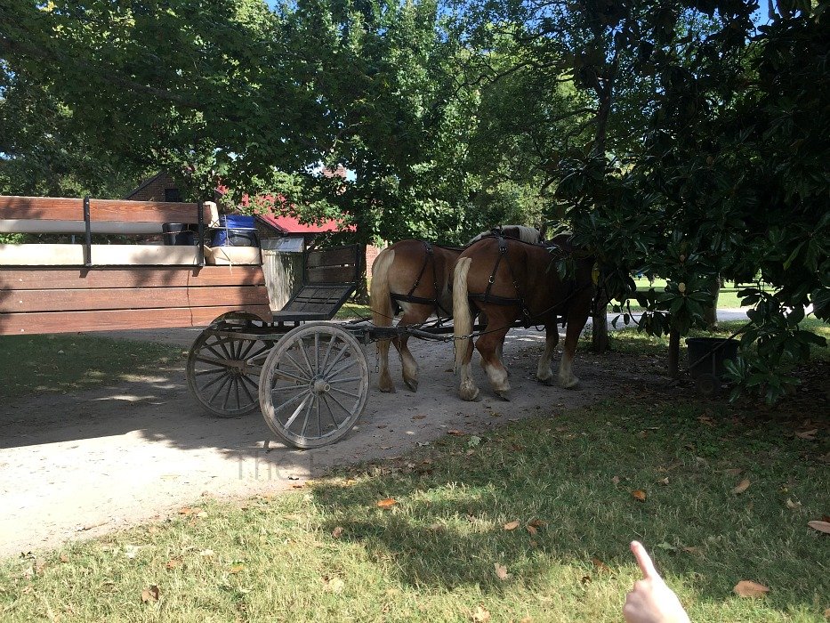 The Hermitage, Home of Andrew Jackson – Nashville, Tennessee Horse Ride
