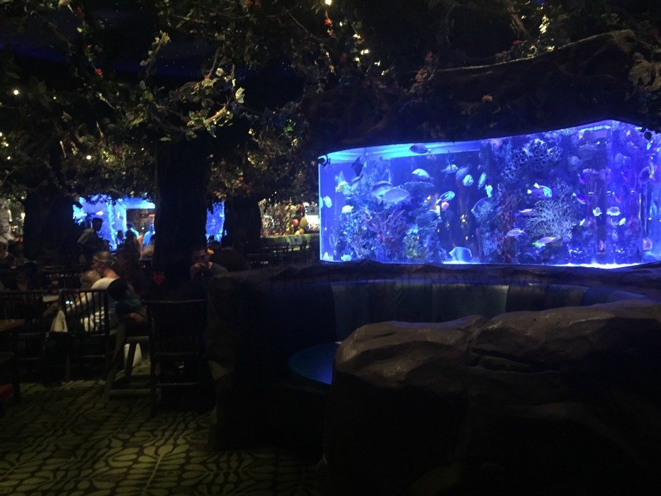 Rainforest Café – Nashville, Tennessee Fish tank Booth
