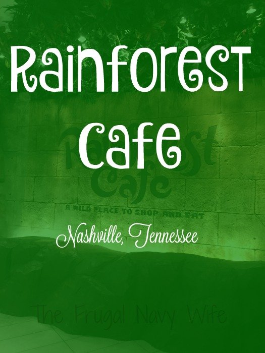 Rainforest Café – Nashville, Tennessee