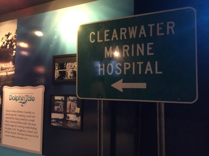 Winter's Dolphin Tale Adventure - Clearwater, Florida Clearwater sign]