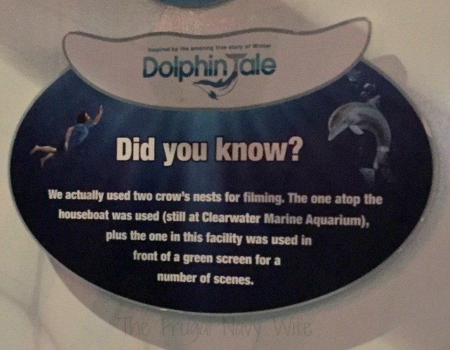 Winter's Dolphin Tale Adventure - Clearwater, Florida Crowsnest facts